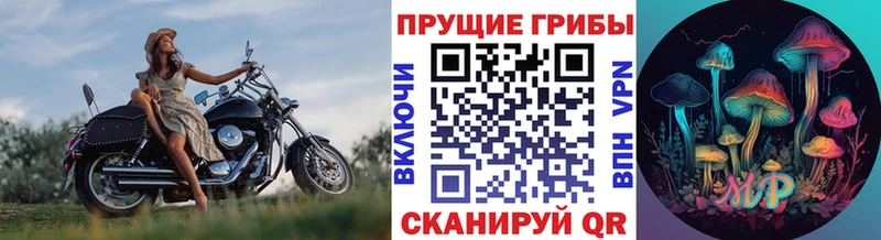 Галлюциногенные грибы GOLDEN TEACHER  наркошоп  Мирный 